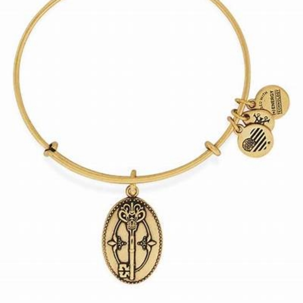 Alex and Ani Key to Life Gold Bracelet